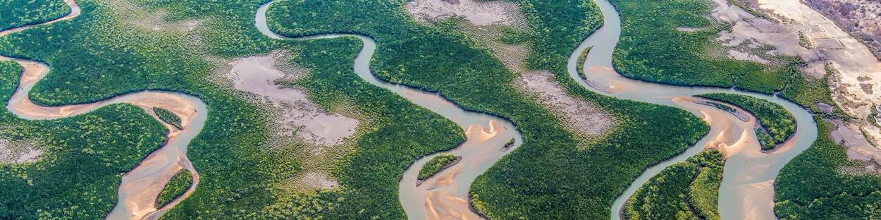 Rivierdelta in Mozambique